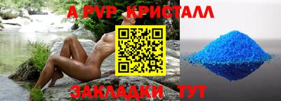 гашик Будённовск