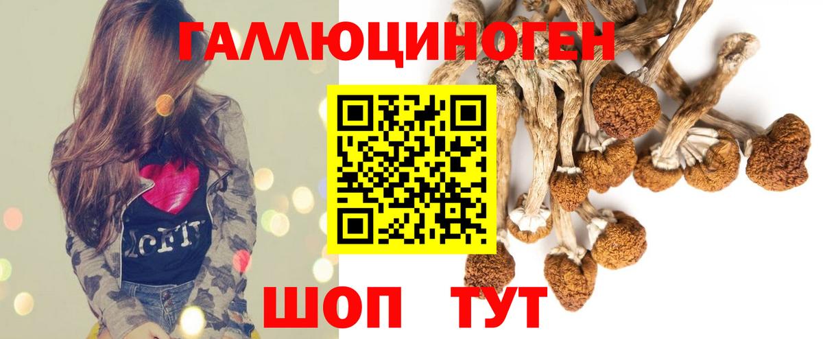 Псилоцибиновые грибы Psilocybe  Вход с VPN  Уфа 